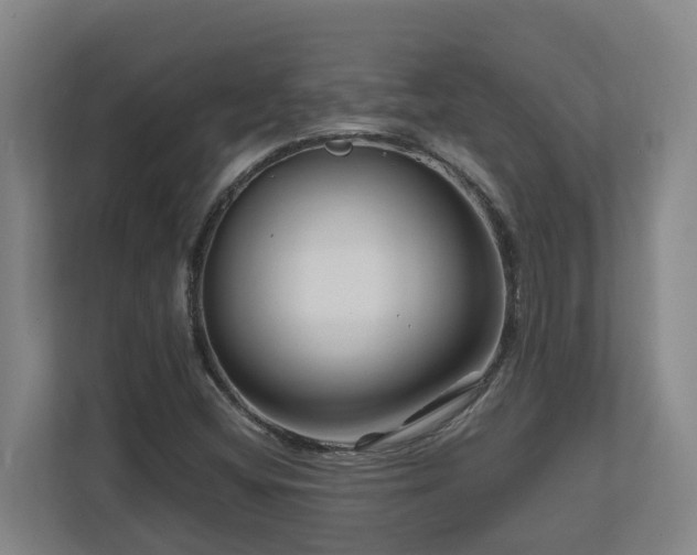 X0000111121404200906301301