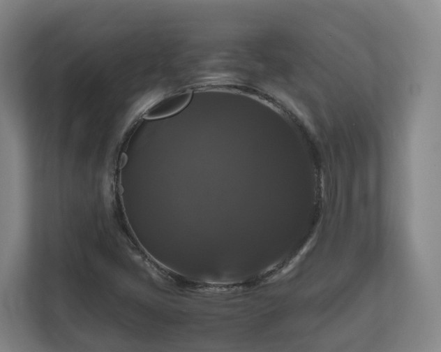 X0000111121405200906301301