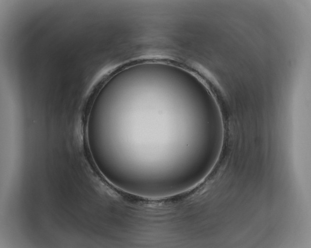 X0000111121408200906301301