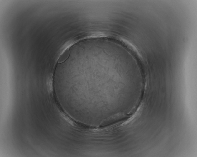 X0000111121409200906301301