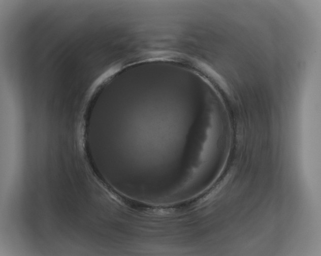X0000111121411200906301301
