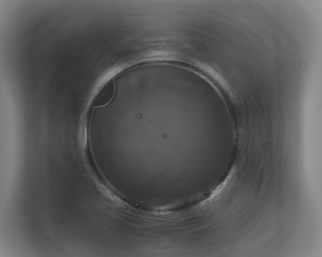 X0000111121413200906301301