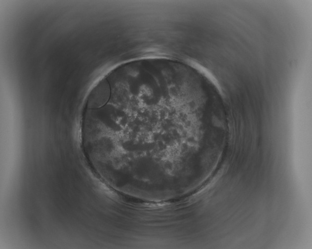 X0000111121415200906301301