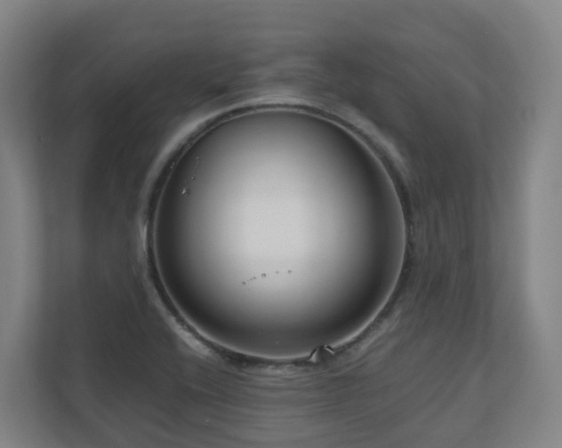 X0000111121416200906301301