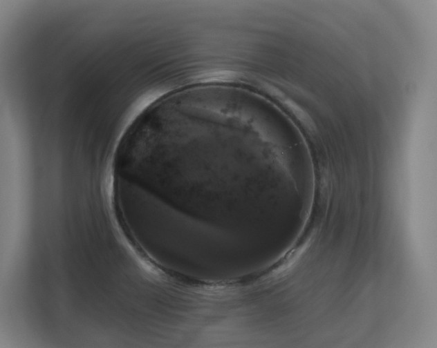 X0000111121418200906301301