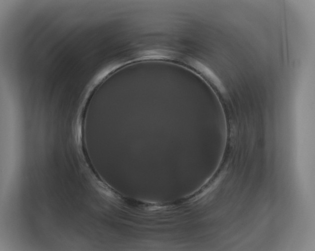 X0000111121419200906301301