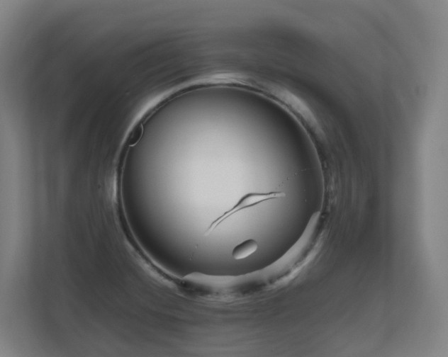 X0000111121420200906301301