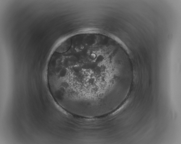X0000111121421200906301301