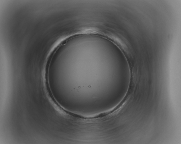 X0000111121422200906301301