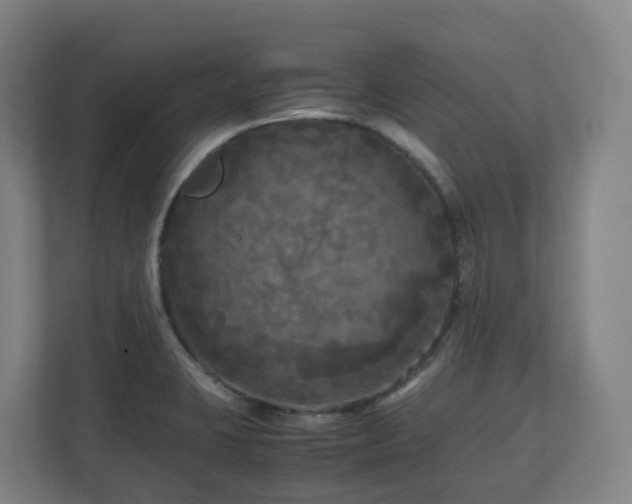 X0000111121423200906301301