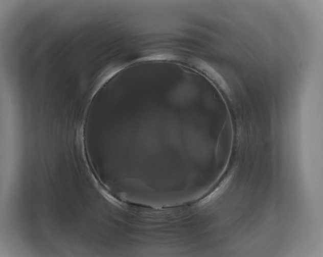 X0000111121425200906301301