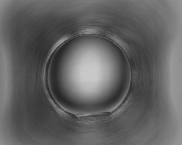 X0000111121426200906301301