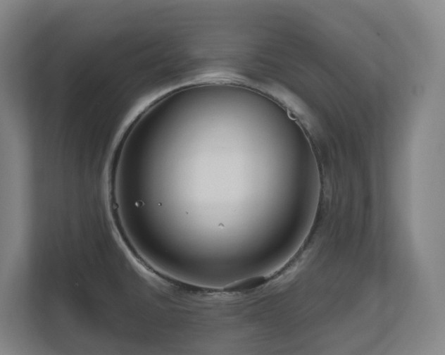 X0000111121430200906301301