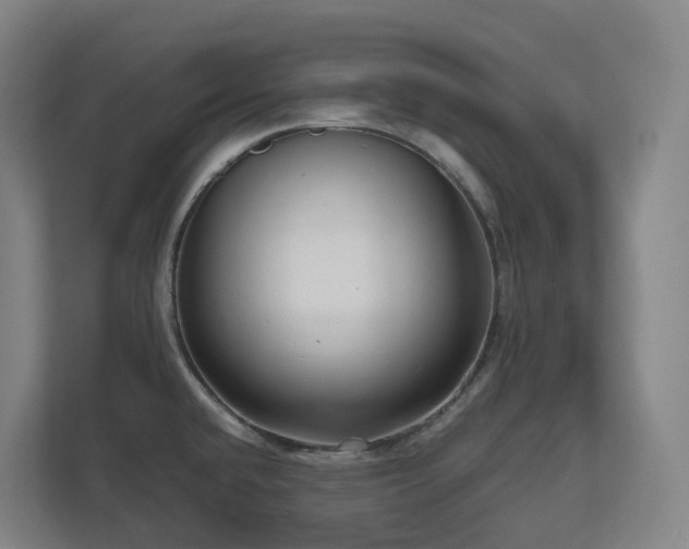 X0000111121432200906301301