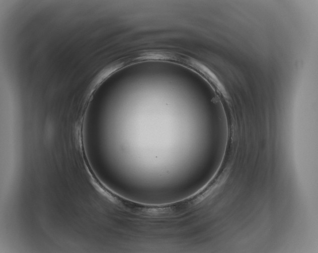 X0000111121433200906301301