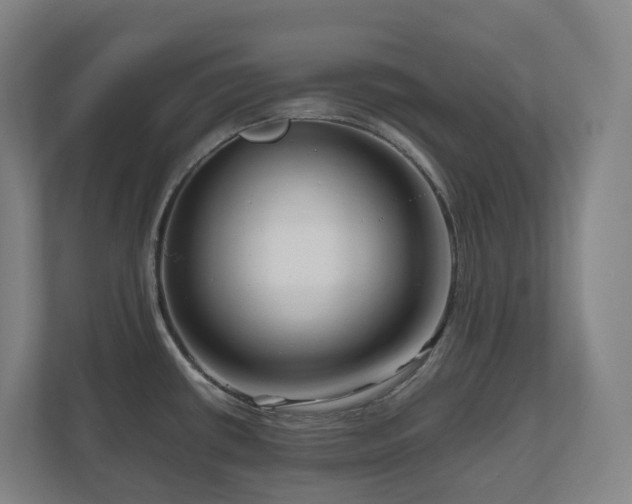 X0000111121434200906301301
