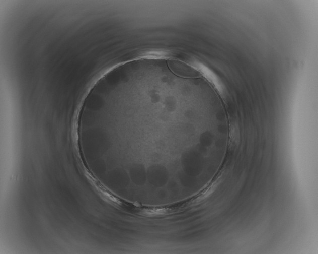 X0000111121435200906301302