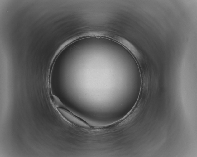 X0000111121436200906301302