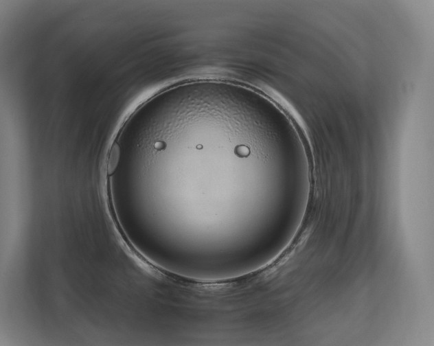 X0000111121437200906301302