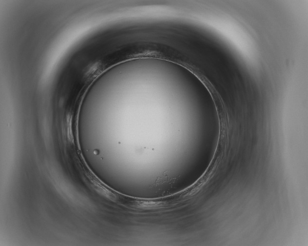 X0000111121439200906301302