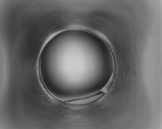 X0000111121440200906301302