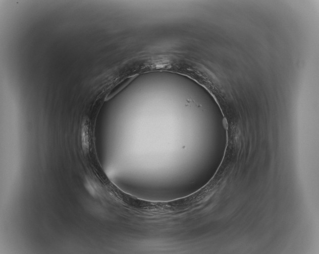 X0000111121442200906301301