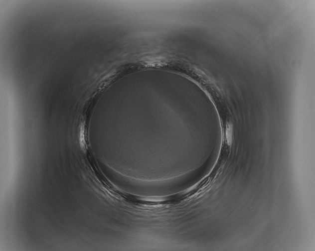 X0000111121444200906301301
