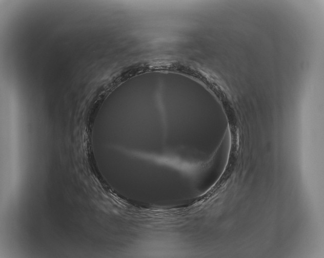 X0000111121445200906301301