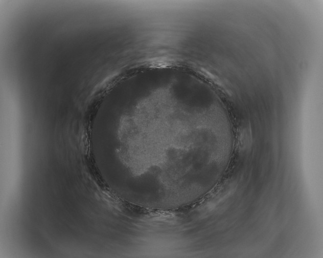 X0000111121446200906301301