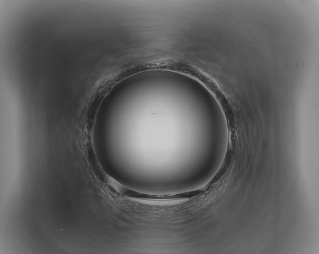 X0000111121447200906301301