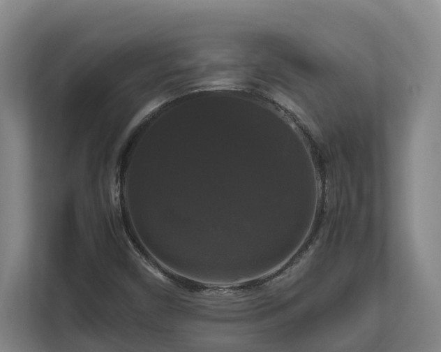 X0000111121450200906301301