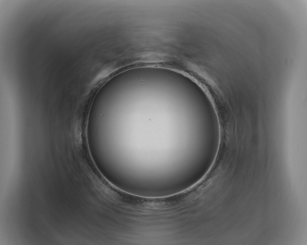 X0000111121451200906301301