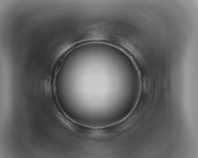 X0000111121452200906301301