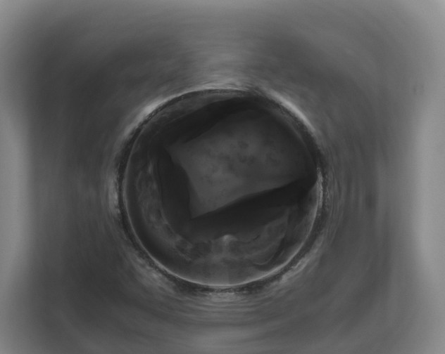 X0000111121455200906301301