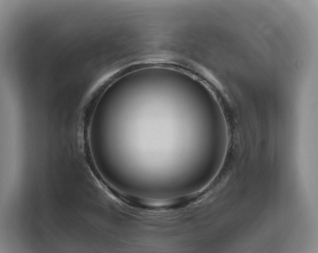 X0000111121456200906301301