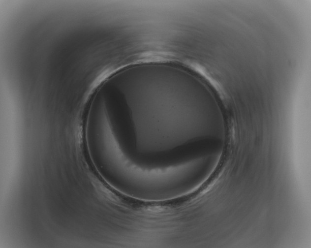 X0000111121459200906301301