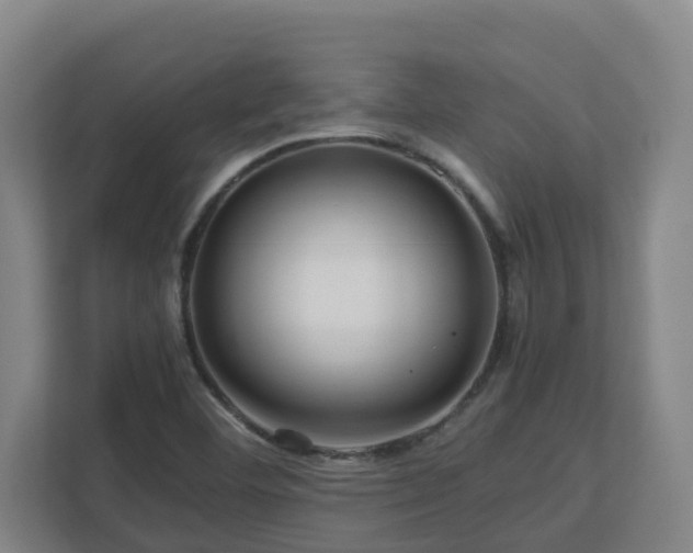 X0000111121460200906301301
