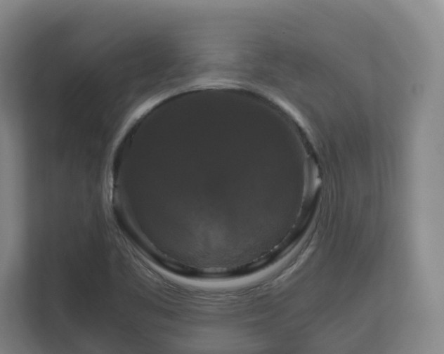 X0000111121461200906301301