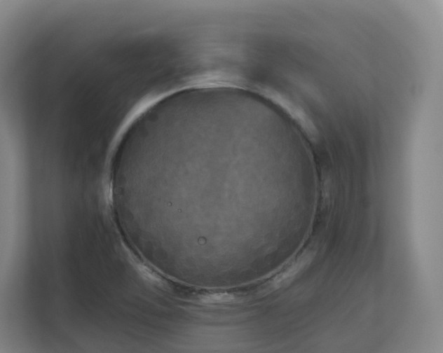 X0000111121462200906301301