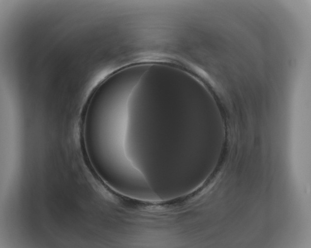 X0000111121463200906301301