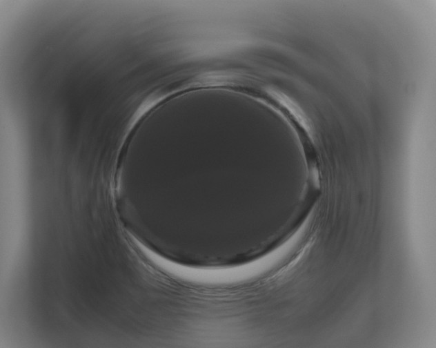 X0000111121465200906301301
