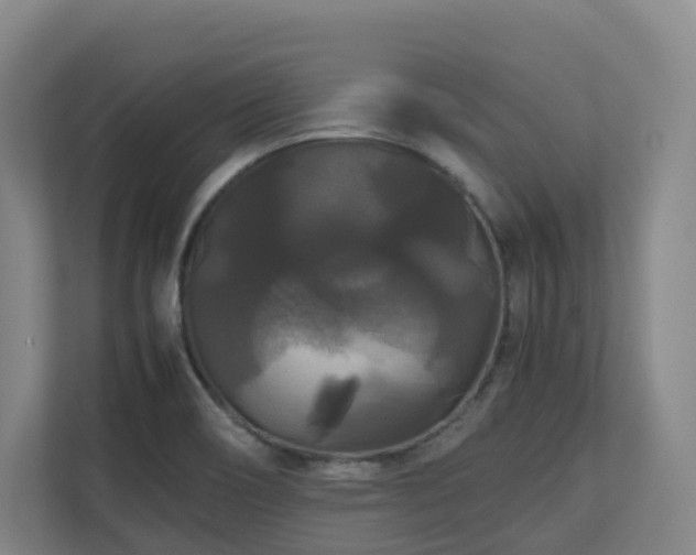 X0000111121466200906301301