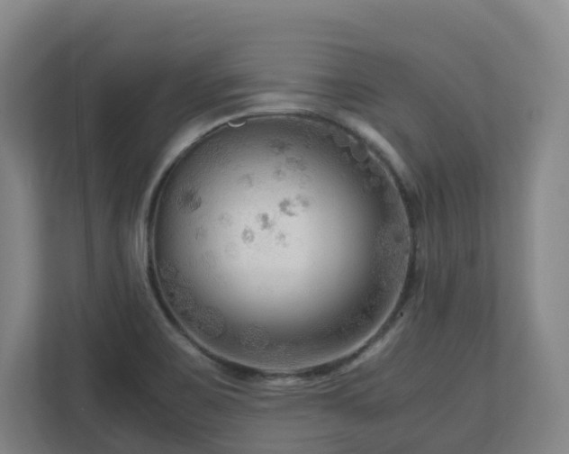 X0000111121467200906301301