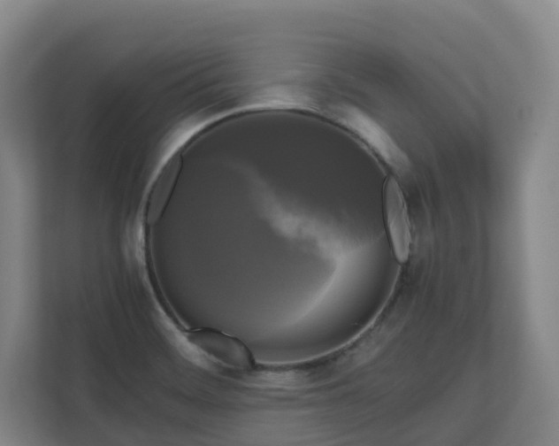 X0000111121468200906301301