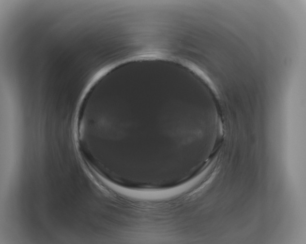 X0000111121469200906301301