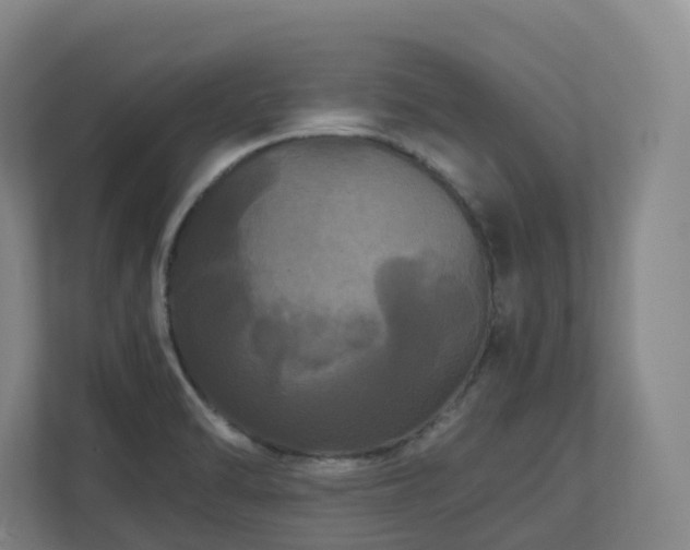 X0000111121470200906301301