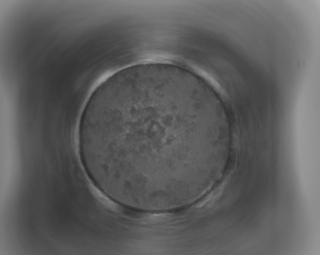 X0000111121471200906301301