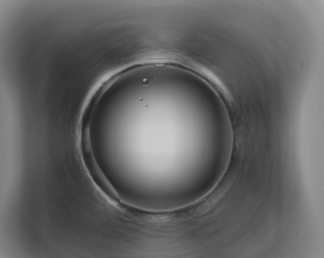 X0000111121472200906301301