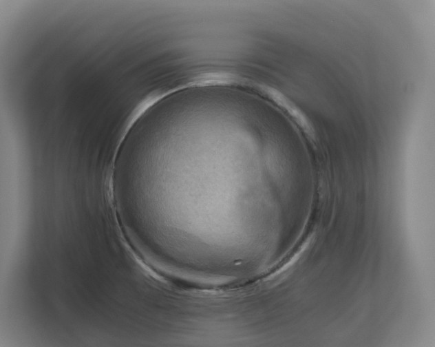 X0000111121473200906301301