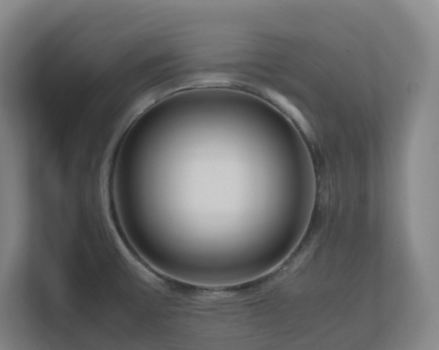 X0000111121475200906301300